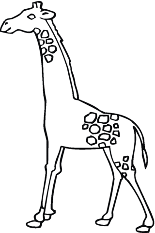 Giraffe 18 Coloring page