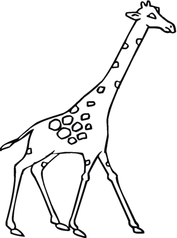 Giraffe 23 Coloring page