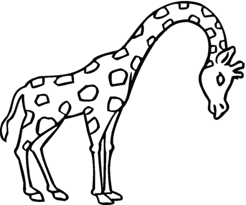 Giraffe 24 Coloring page