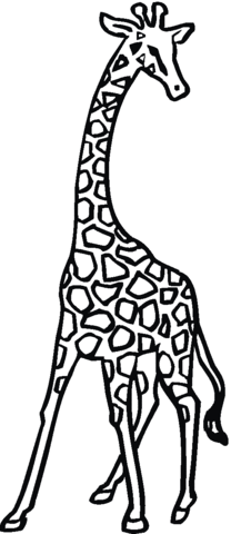 Giraffe 26 Coloring page