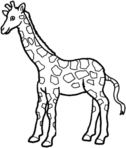 Giraffe 7 Coloring page