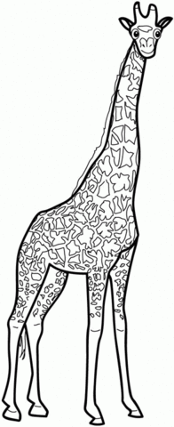 Giraffe Coloring page