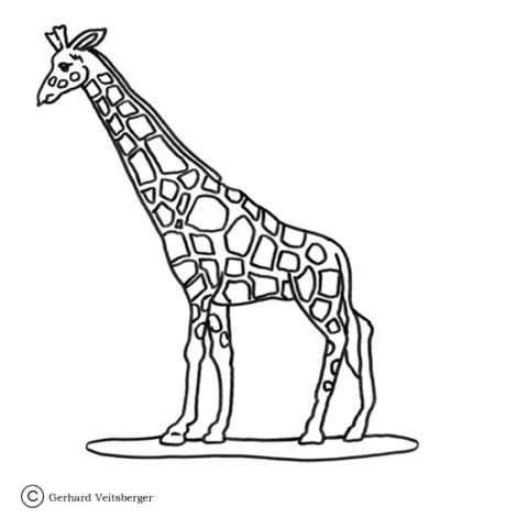 Giraffe in the Zoo  Coloring page