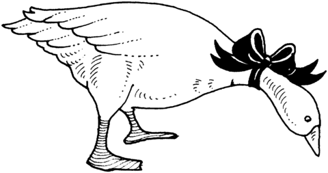 Goose 5 Coloring page