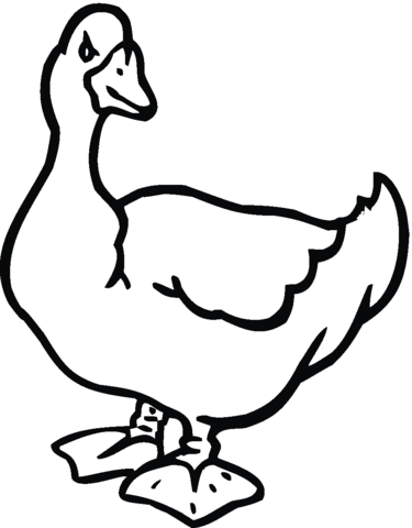 Goose Coloring page