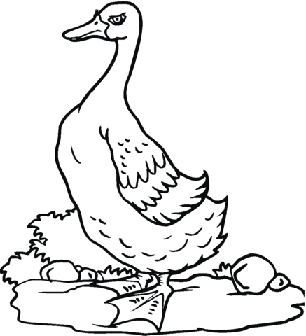 Goose 9 Coloring page