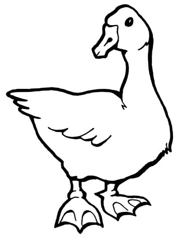 Goose Coloring page