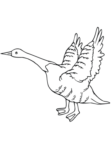 Goose Fly Away Coloring page