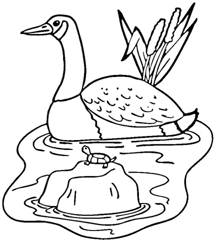 Goose in Cattails  Coloring page