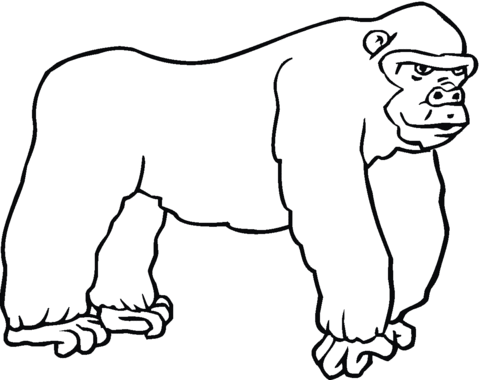 Gorilla 7 Coloring page