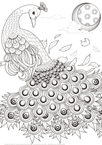 Graceful Peacock Coloring page