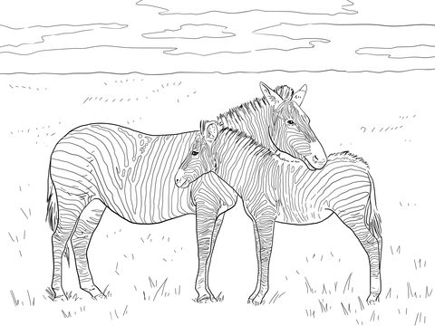 Grant's Plain Zebras Coloring page