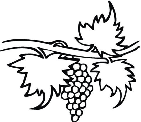 Grape 22 Coloring page