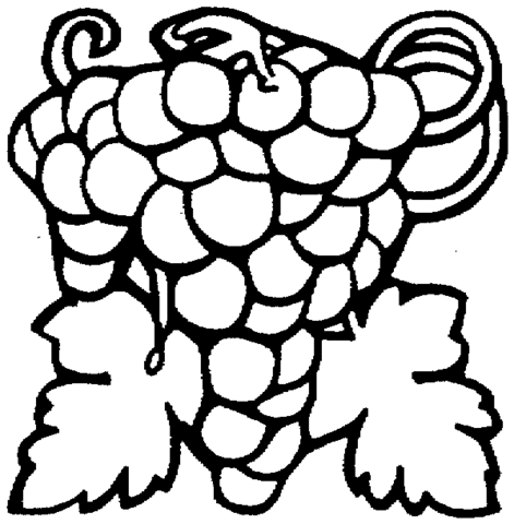 Grape 3 Coloring page