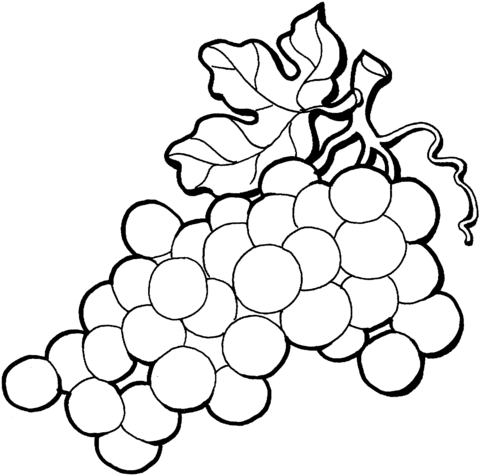 Grape 4 Coloring page