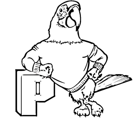 Gray Parrot  Coloring page