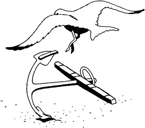 Seagull and anchor Coloring page