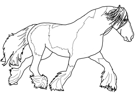 Gypsy Vanner Horse Coloring page