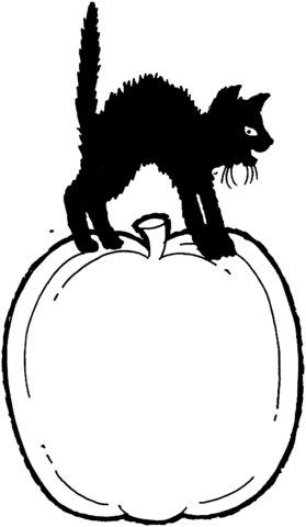 Black Cat is standing on a pumpkin Coloring page