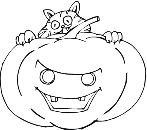 Halloween pumpkin with crazy cat Coloring page