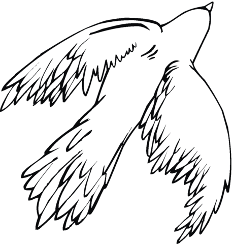 Hawk 22 Coloring page