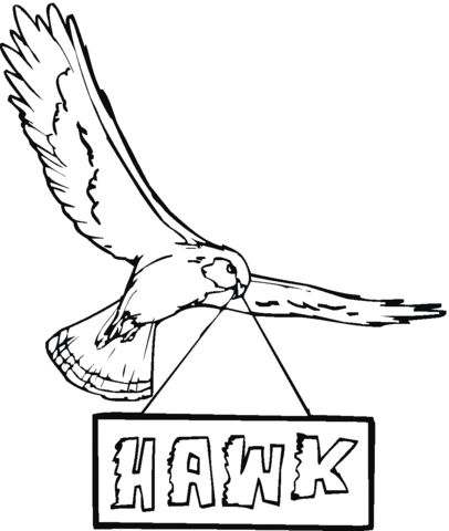 Hawk 23 Coloring page