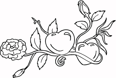 Hearts and Roses Coloring page