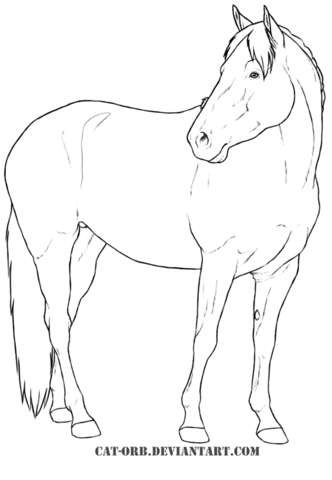 Heavy Warmblood Mare Coloring page