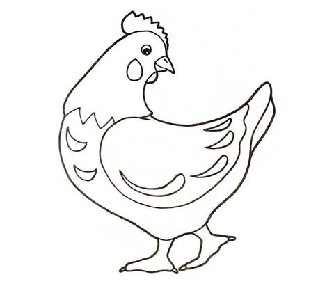 Hen Coloring page