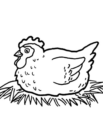 Hen on Nest Coloring page