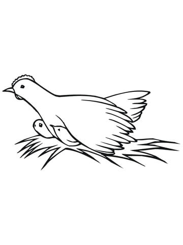 Hen on Nest with Chicks Coloring page