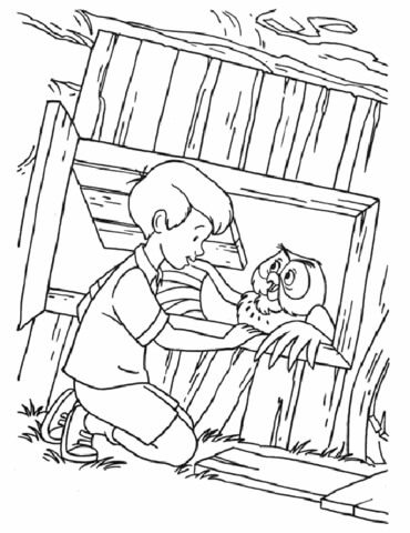 Christopher Robin And Owl  Coloring page