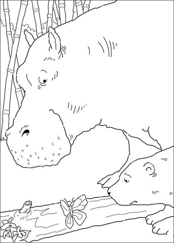 Hippo, Little Polar Bear And Butterfly  Coloring page