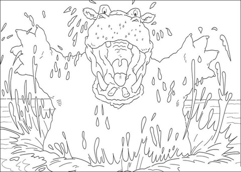 Hippopotamus in the water  Coloring page