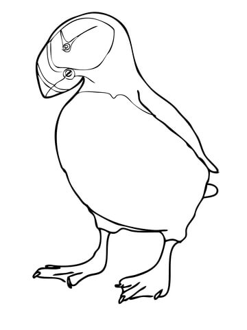 Horned Puffin Coloring page