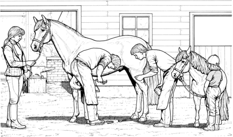 Horse and Pony Coloring page