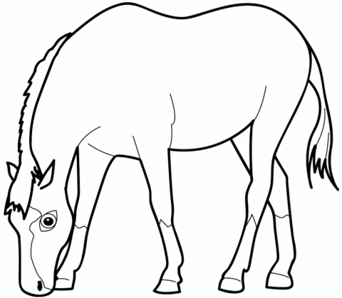 Horse Eating Grass Coloring page