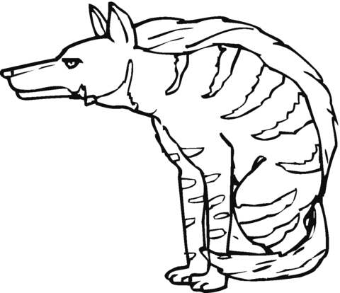 Striped Hyena Coloring page