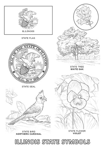 Illinois State Symbols Coloring page