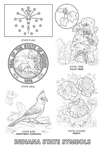 Indiana State Symbols Coloring page