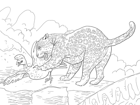 Jaguar Catches a Bird Coloring page