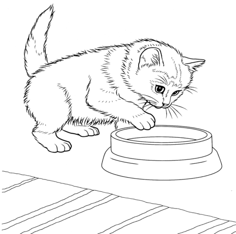 Javanese Kitten Coloring page