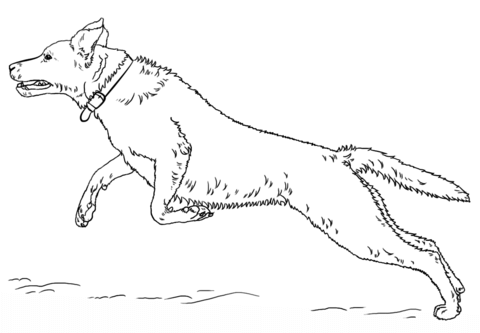 Jumping Labrador Retriever Coloring page