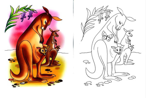 Kangaroo Mother and Kangaroo Baby Coloring page