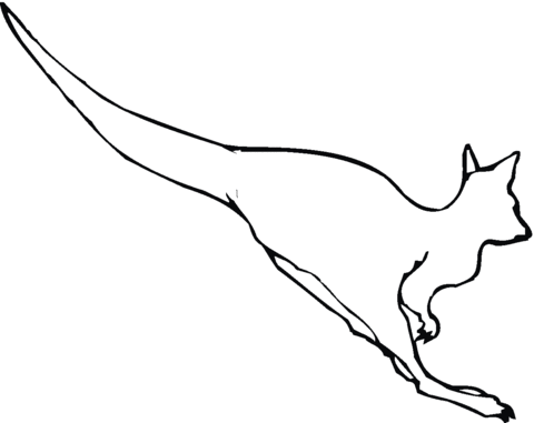 Jumping Kangaroo Coloring page