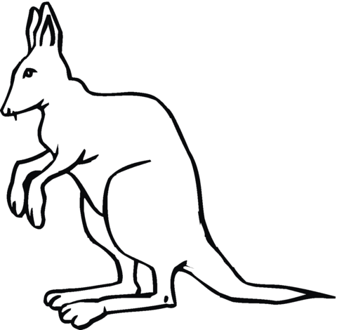 Kangaroo 16 Coloring page