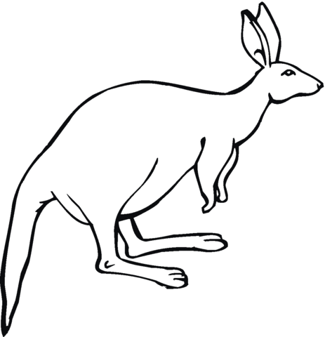 Kangaroo with big ears Coloring page