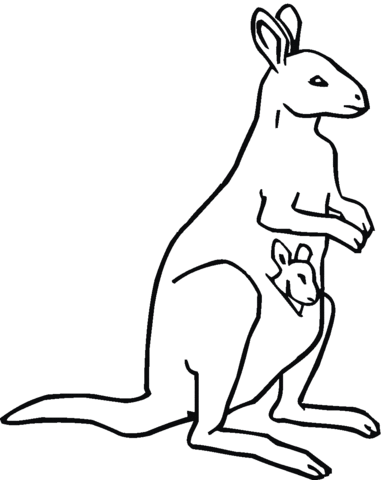 Baby kangaroo in mother's pouch Coloring page