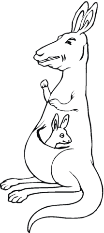 Kangaroo baby in mother's pouch Coloring page