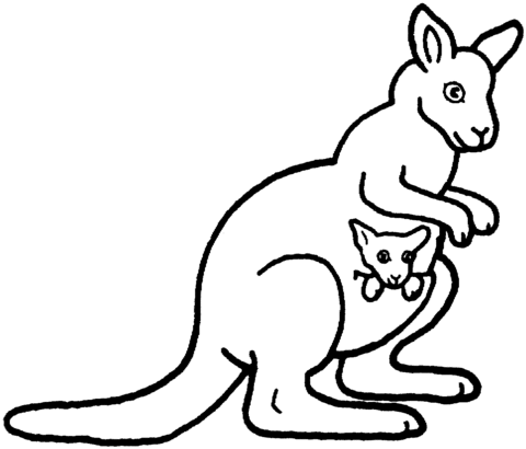 Kangaroo Holds Its Kid Safely Coloring page